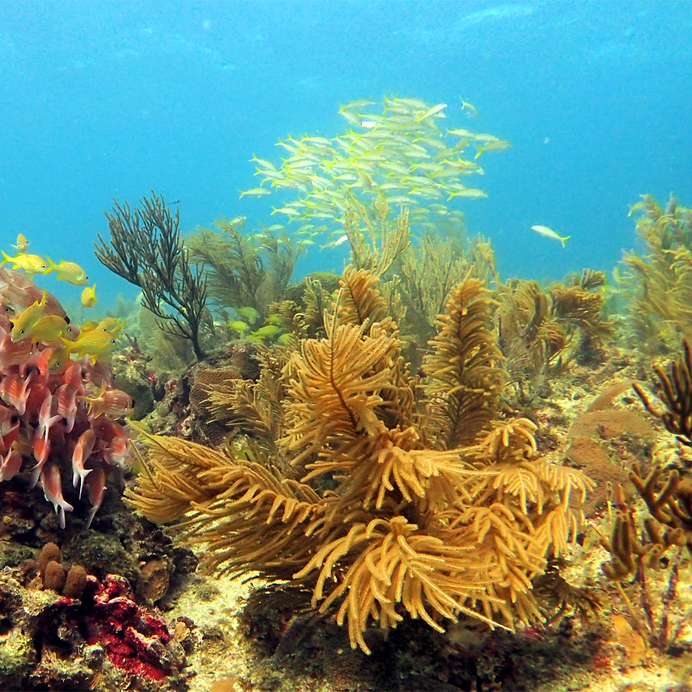San Andres-lets travel (2)