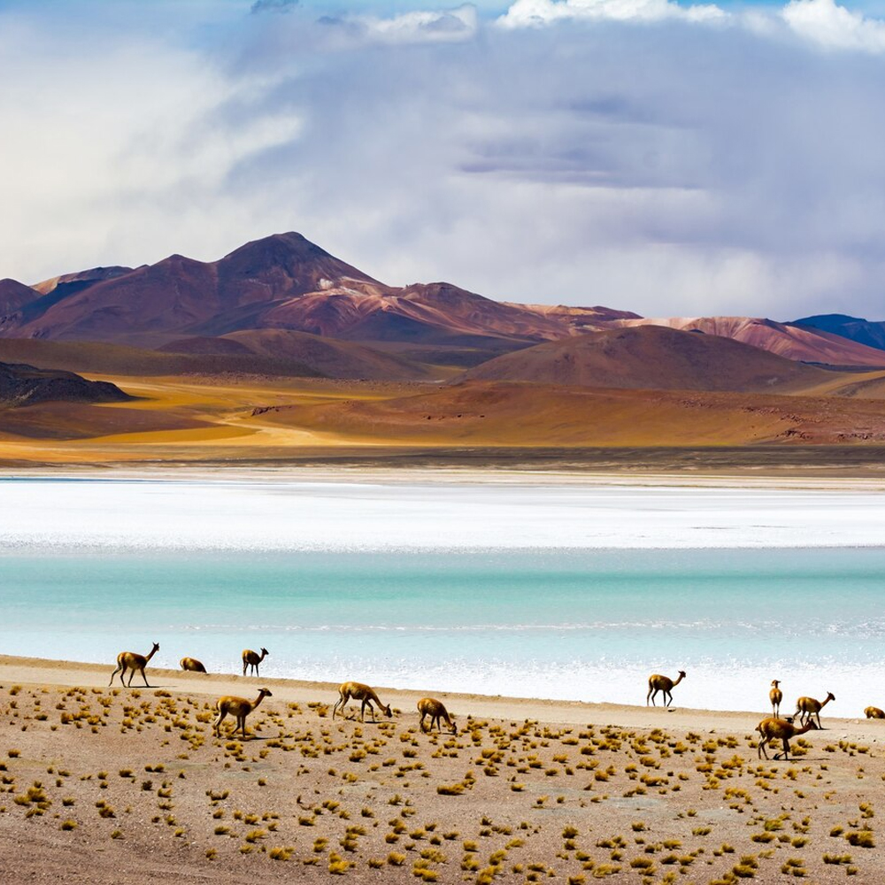 Bolivia-lets travel (4)